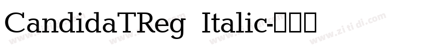 CandidaTReg Italic字体转换
